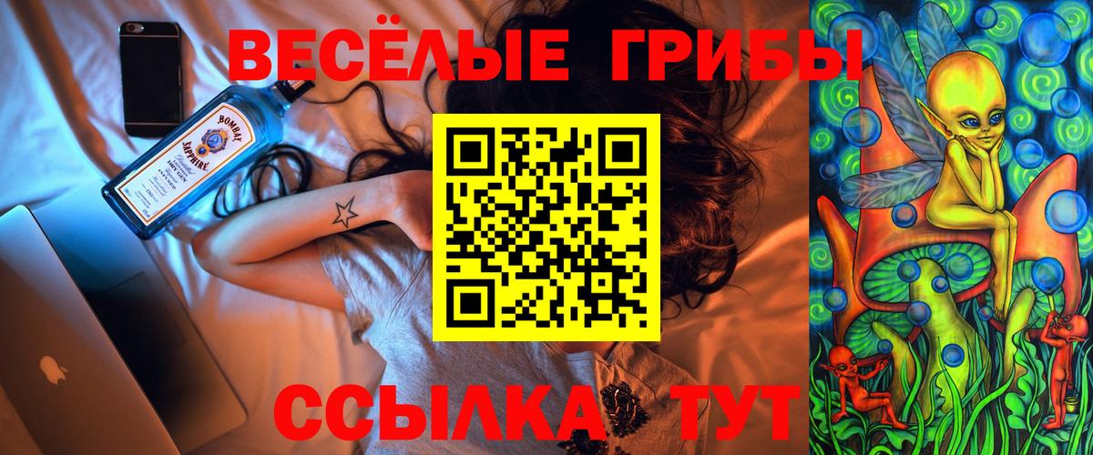 Тельмана  Псилоцибиновые грибы MAGIC MUSHROOMS  Вход с VPN  Галлюциногенные грибы мухоморы 